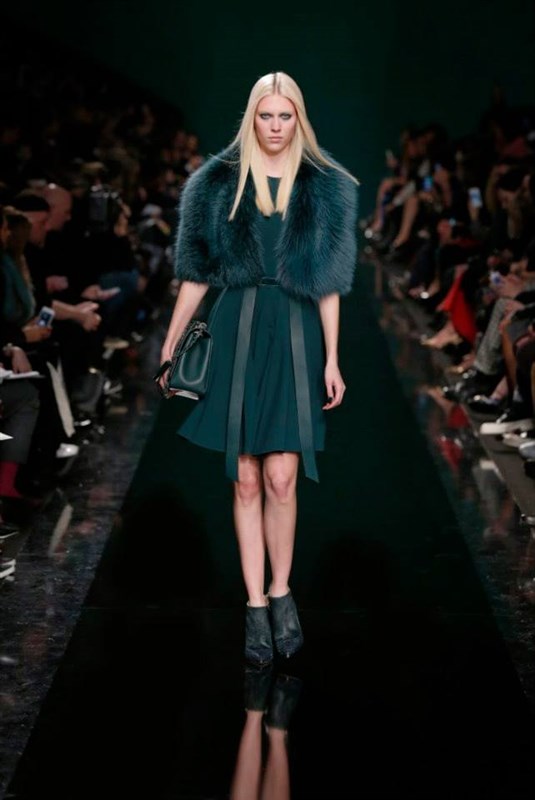 Elie Saab Autumn Winter 2014 2015 Fashion Show